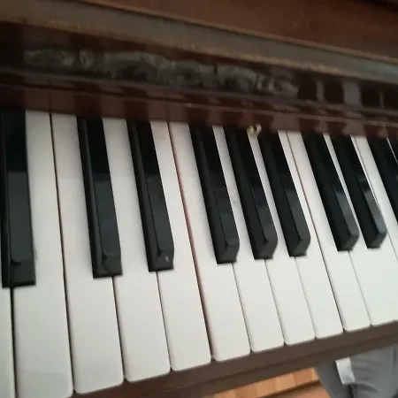 The Piano * Zavalatica